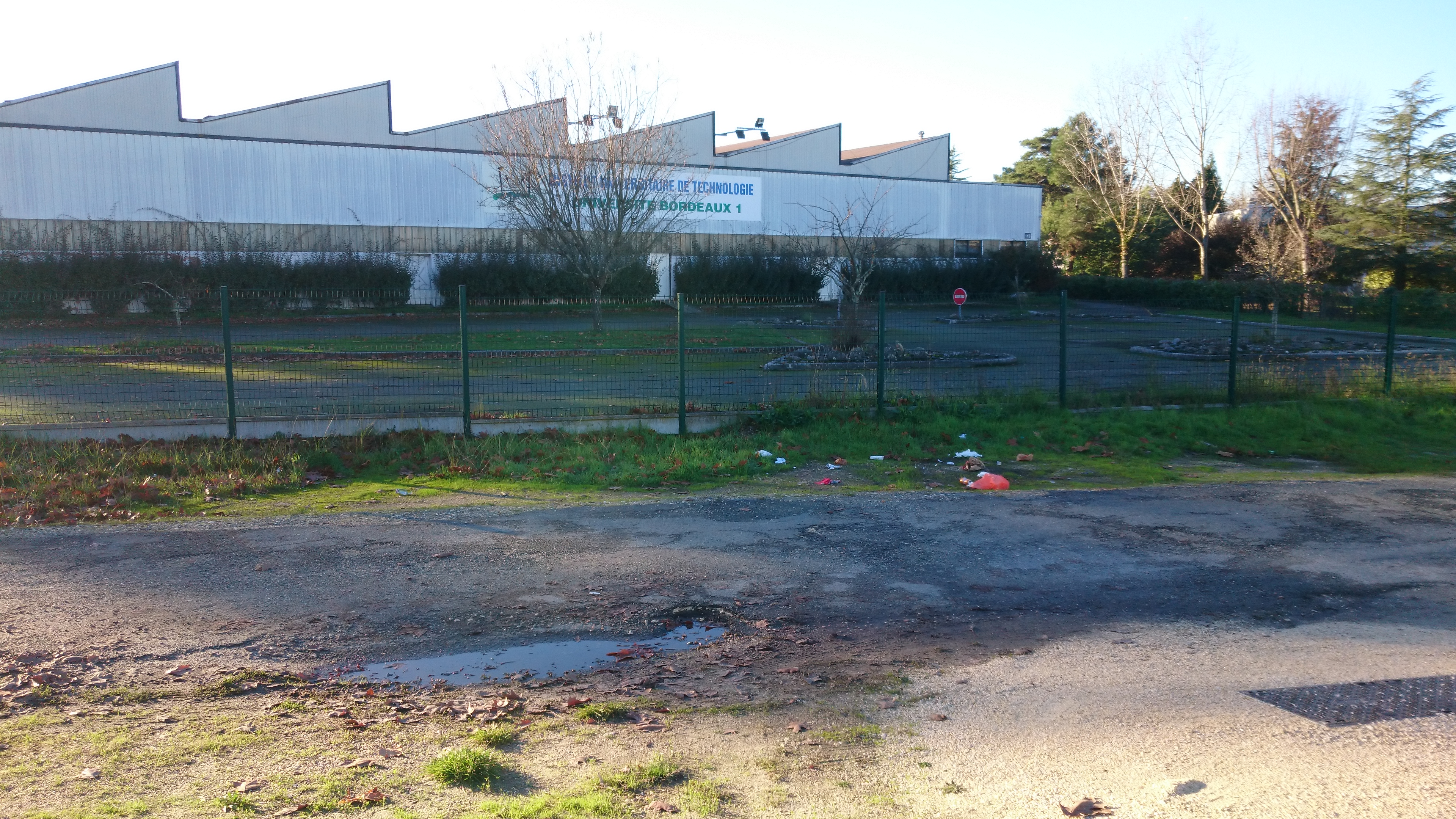 figure photos/DSC_0135.png