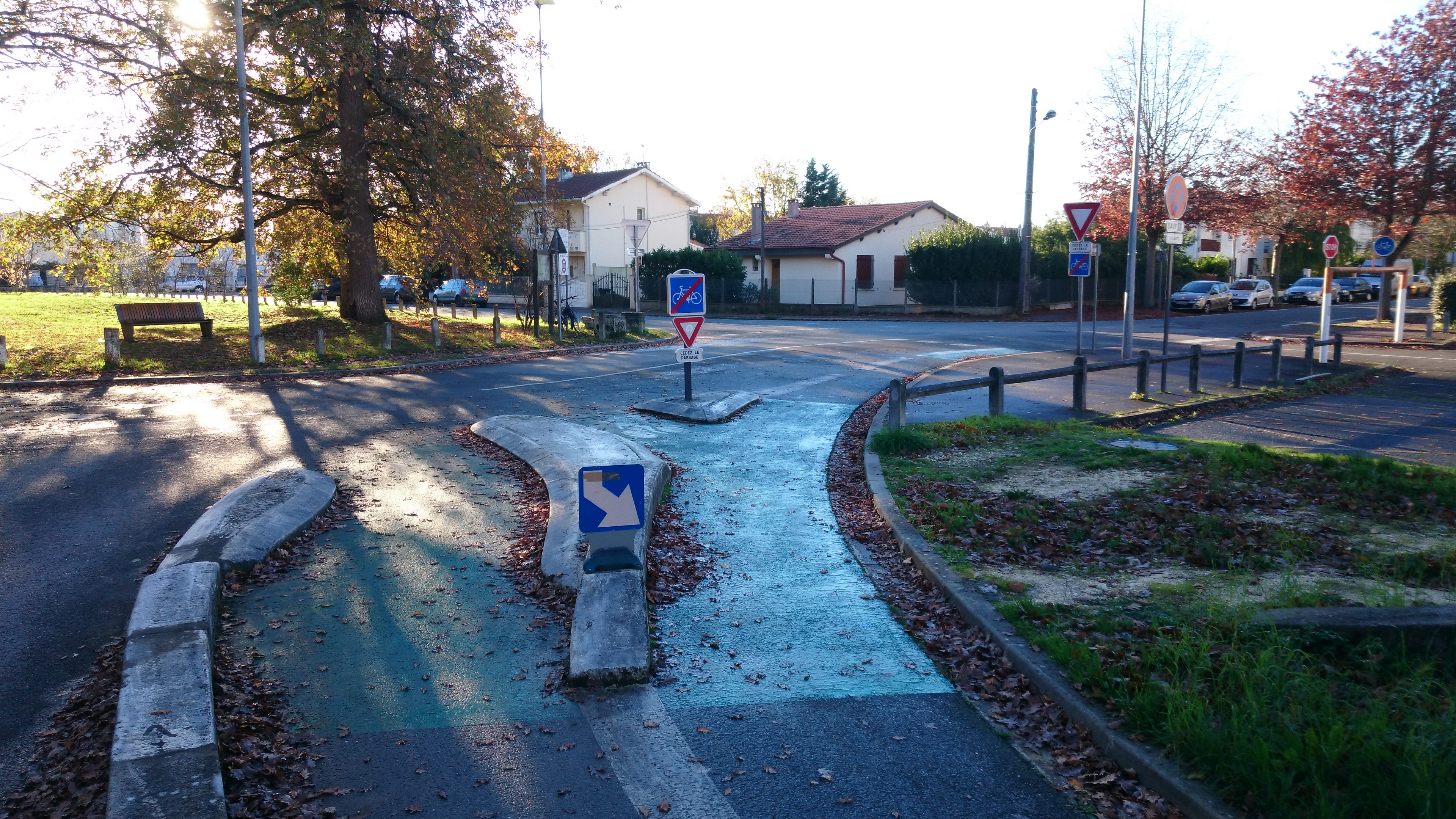 figure photos/DSC_0137.png